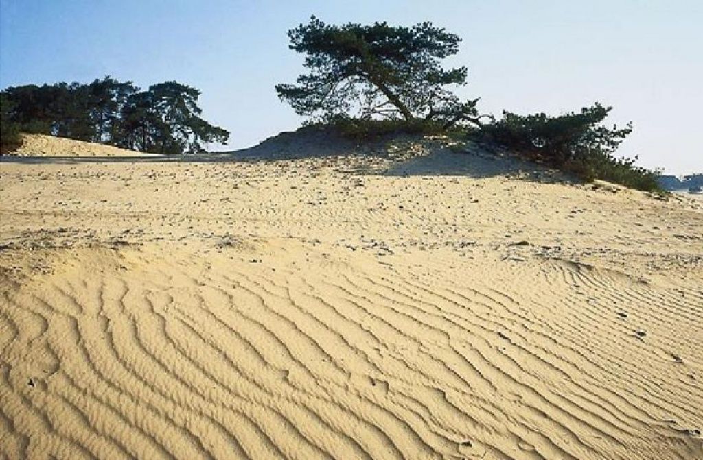 Wekeromse Zand zandverstuiving